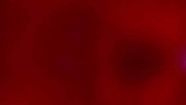 hailey-frost's cam snapshot