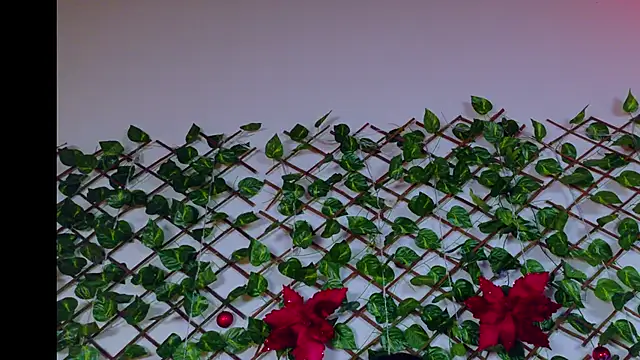 alice_rous21's cam snapshot