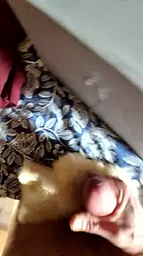 Sinuel's cam snapshot