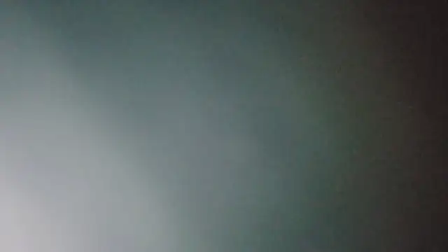 MysterBearMG live sex cam