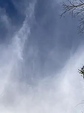 badbaby187 live sex cam