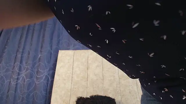 Sofi-Brown's cam snapshot