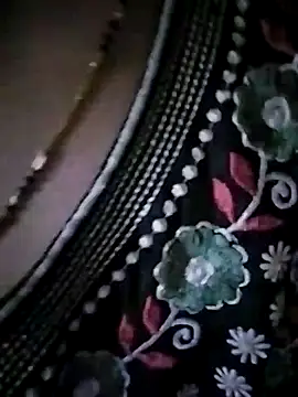 PayalSharmahot143's cam snapshot