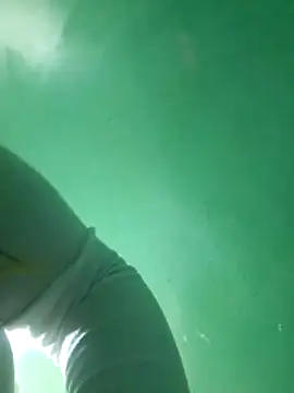 Bellatriz-horse's cam snapshot