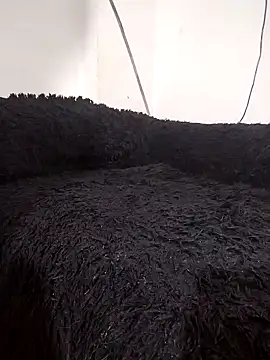 ChloeRaviss_'s cam snapshot