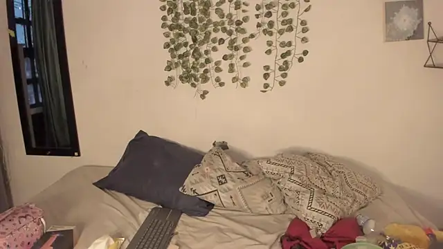 Noellesable's cam snapshot