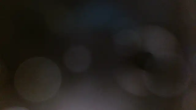 Digital-2025 live sex cam