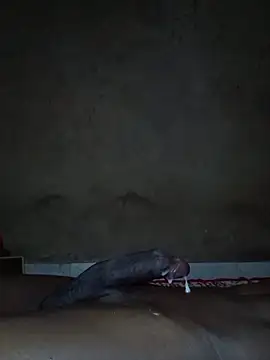 SugarMamaJohnny's cam snapshot