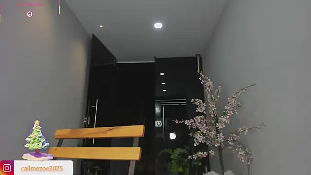 Zoe-S's cam snapshot