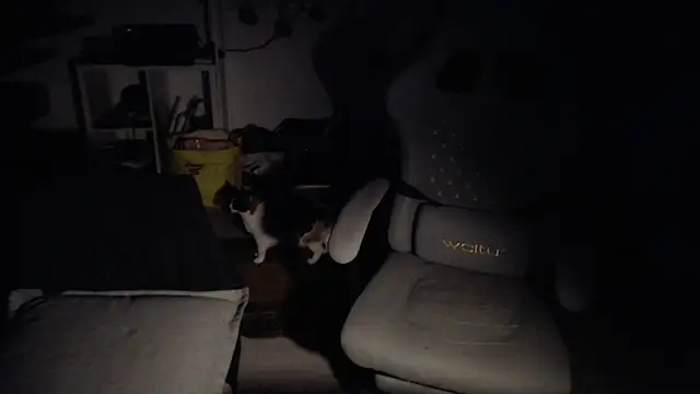 contemptumundi888's cam snapshot