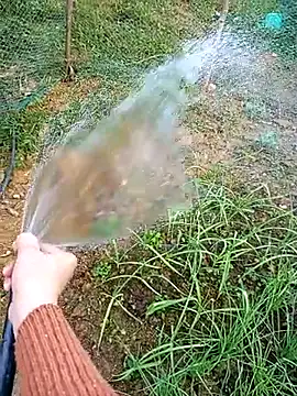 Jelly-Milk123's cam snapshot