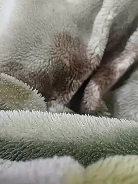 Anamika_Kapoor's cam snapshot