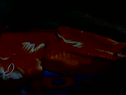 rohitlov150's cam snapshot