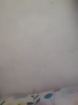 braidqueen00's cam snapshot