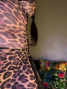 El-Jouri's cam snapshot