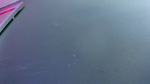 Karol_Pagee's cam snapshot