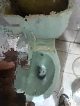 My120my120 live sex cam