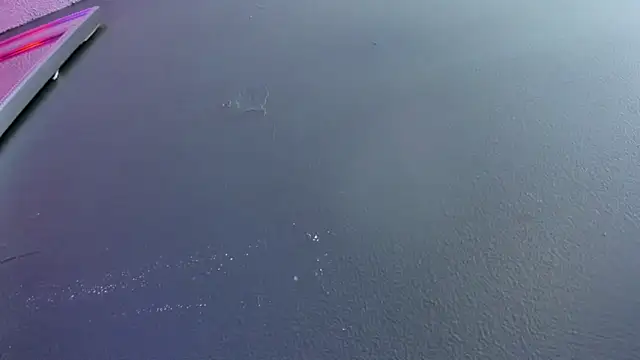 Karol_Pagee's cam snapshot