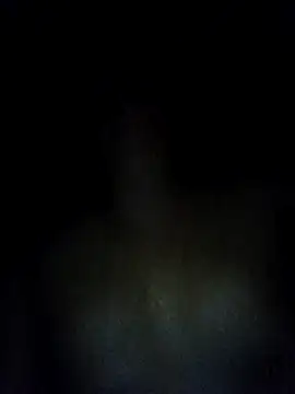 BBC-KING-100's cam snapshot