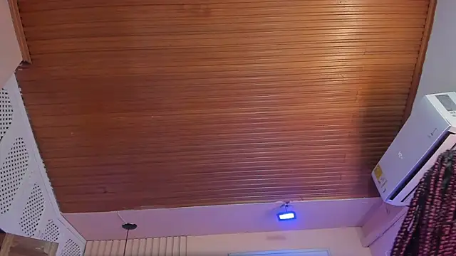 viiolett_lee's cam snapshot