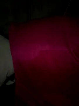 dalou3a22's cam snapshot