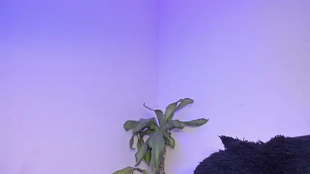 Lucy_shen_ live sex cam