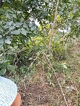 Tin_tanny's cam snapshot