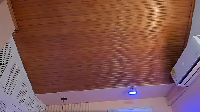 viiolett_lee's cam snapshot