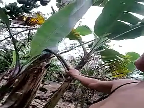 BigBoobs186's cam snapshot