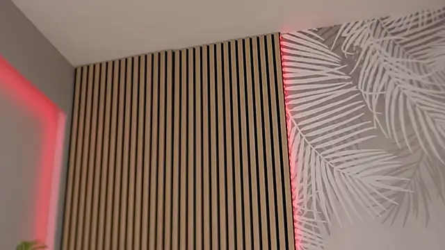 Miss_Denisse's cam snapshot