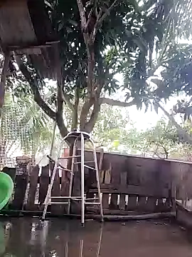 BigBoobs186's cam snapshot