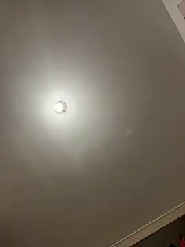 itsdanividarte's cam snapshot