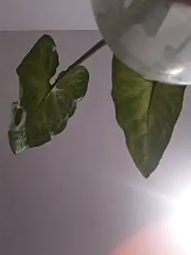 the_weather_girl420's cam snapshot