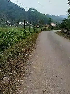 moa_koa's cam snapshot