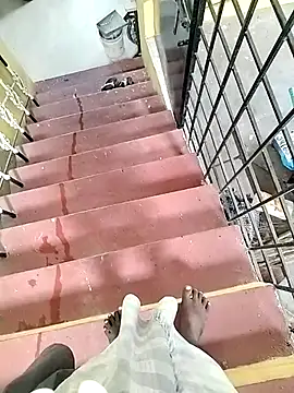 bas1cooks live sex cam