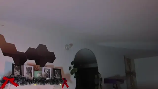 evy_orange1 live sex cam