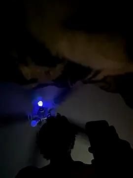 Kinggg_Angggel live sex cam