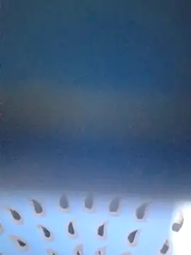 Priya_Bong's cam snapshot