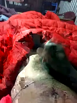 WrongAngle30 live sex cam