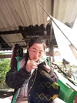 seacyre's cam snapshot