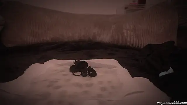 meganmei666's cam snapshot