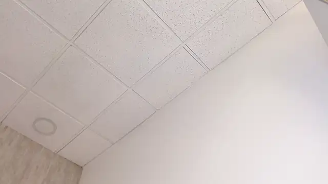 Xaander_'s cam snapshot