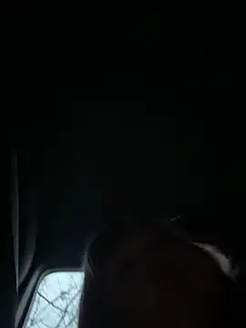 BigboobsDream99's cam snapshot