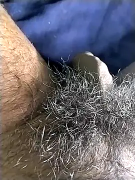 jellydicks live sex cam