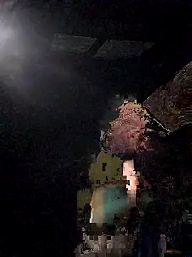 Beardedtattood live sex cam