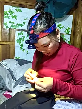 Linkdak2's cam snapshot