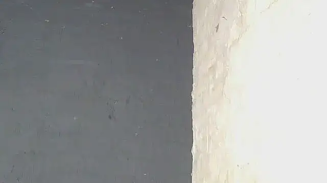 ebony_rose11's cam snapshot