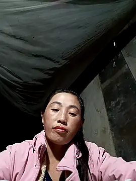 seacyre's cam snapshot