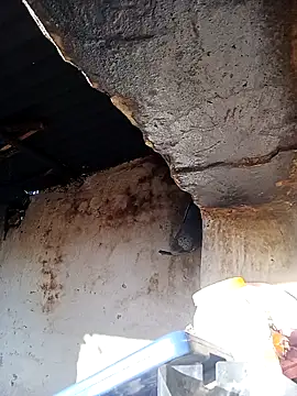 Rubi_sarma's cam snapshot