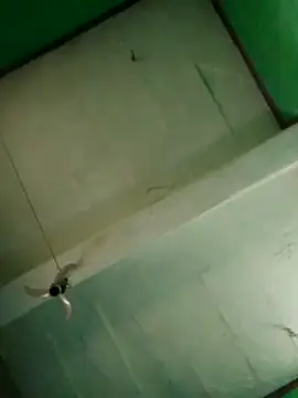 kami_sexe's cam snapshot